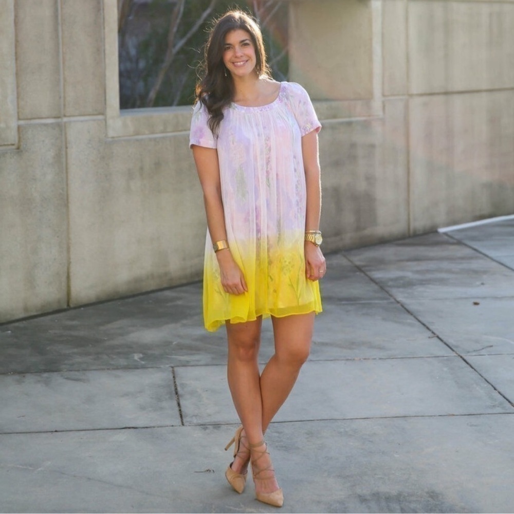 Anthropologie HD in Paris Dipped Chroma Swing Dress Floral Chiffon Ombre Size 14